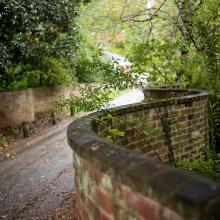 Fall UVA Path Journey University of Virginia