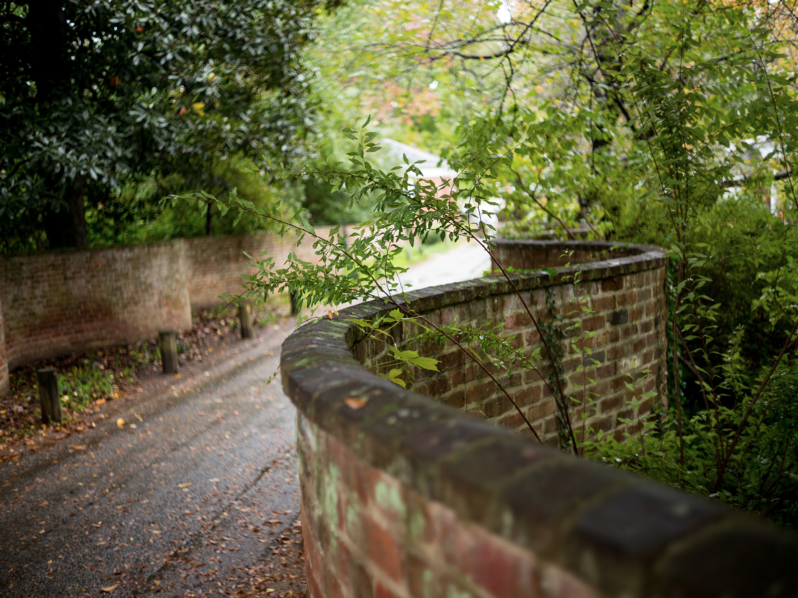 Gosnell Prize Winner Selected